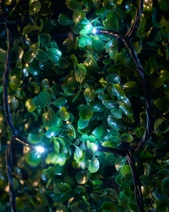 WeRChristmas LINK UP LED String Lights, Black Cable, White