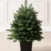 WeRChristmas Mixed Pine Traditional Potted Christmas Tree, 3 Ft