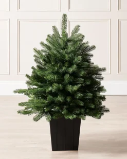WeRChristmas Mixed Pine Traditional Potted Christmas Tree, 3 Ft