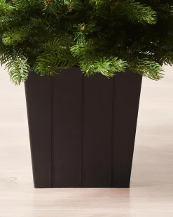 WeRChristmas Mixed Pine Traditional Potted Christmas Tree, 3 Ft