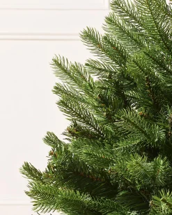 WeRChristmas Mixed Pine Traditional Potted Christmas Tree, 3 Ft