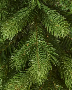 WeRChristmas Mixed Pine Traditional Potted Christmas Tree, 3 Ft