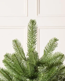 WeRChristmas Mixed Pine Traditional Potted Christmas Tree, 3 Ft