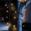 WeRChristmas Multi-Function 50 LED Connectable Light String, Warm White