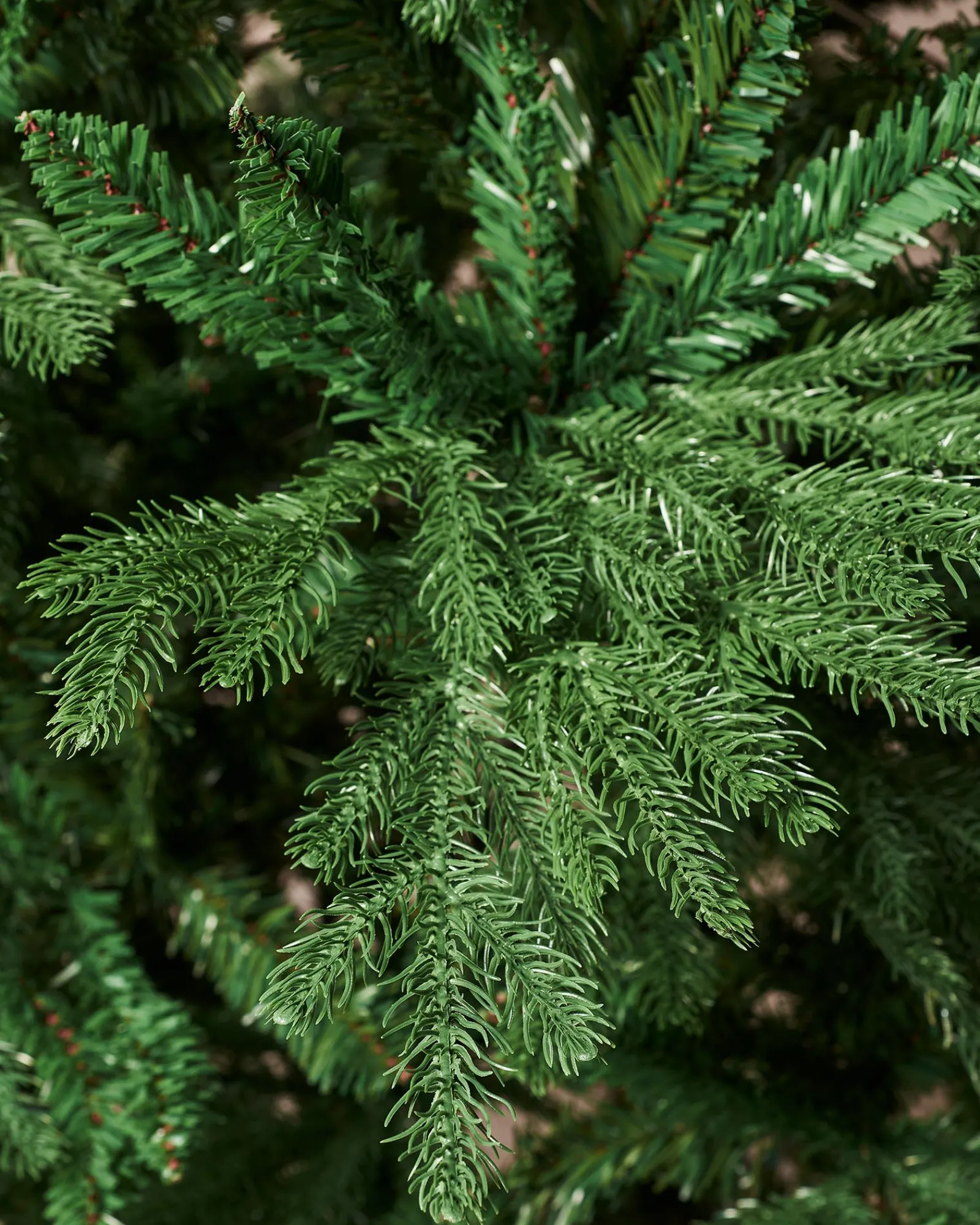 WeRChristmas Northern Fir Christmas Tree, 6 Ft