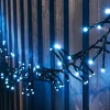 WeRChristmas Outdoor Cluster Multi-Function 500 LED Light String, Ice White