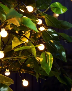 WeRChristmas Outdoor Multi-Function 100 Berry LED Light String, Warm White