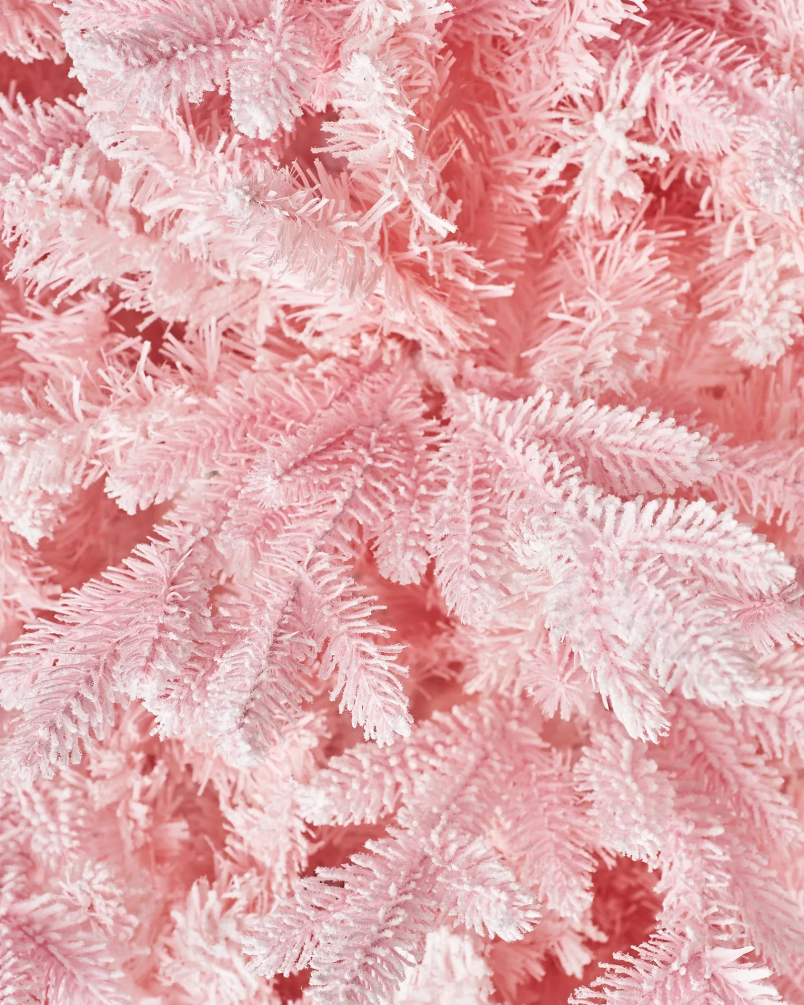 WeRChristmas Pink Sugar Snow Flocked Christmas Tree, 7 Ft