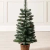 WeRChristmas Potted Craford Blue Pine Decorated Christmas Tree, 3 Ft