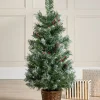WeRChristmas Potted Scandinavian Blue Spruce Christmas Tree, 3 Ft