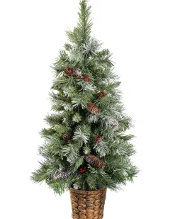 WeRChristmas Potted Scandinavian Blue Spruce Christmas Tree, 3 Ft