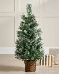 WeRChristmas Potted Scandinavian Blue Spruce Christmas Tree, 3 Ft