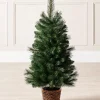 WeRChristmas Potted Victorian Pine Christmas Tree, 3 Ft