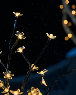 WeRChristmas Pre-Lit 200 LED Cherry Blossom Twig Tree, White, 5 Ft