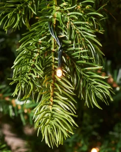 WeRChristmas Pre-Lit Balsam Fir Christmas Tree, 6 Ft
