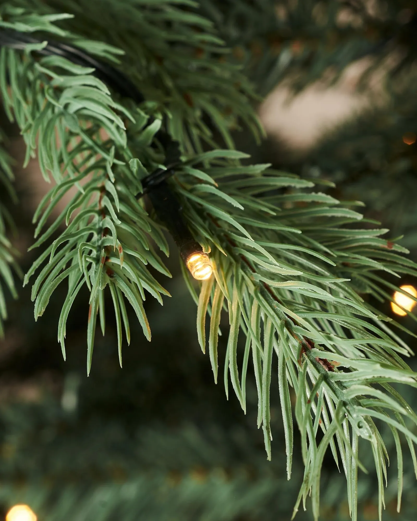 WeRChristmas Pre-Lit Colorado Blue Spruce Christmas Tree, 7 Ft