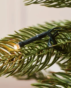 WeRChristmas Pre-Lit Craford Pine Christmas Tree, 5 Ft