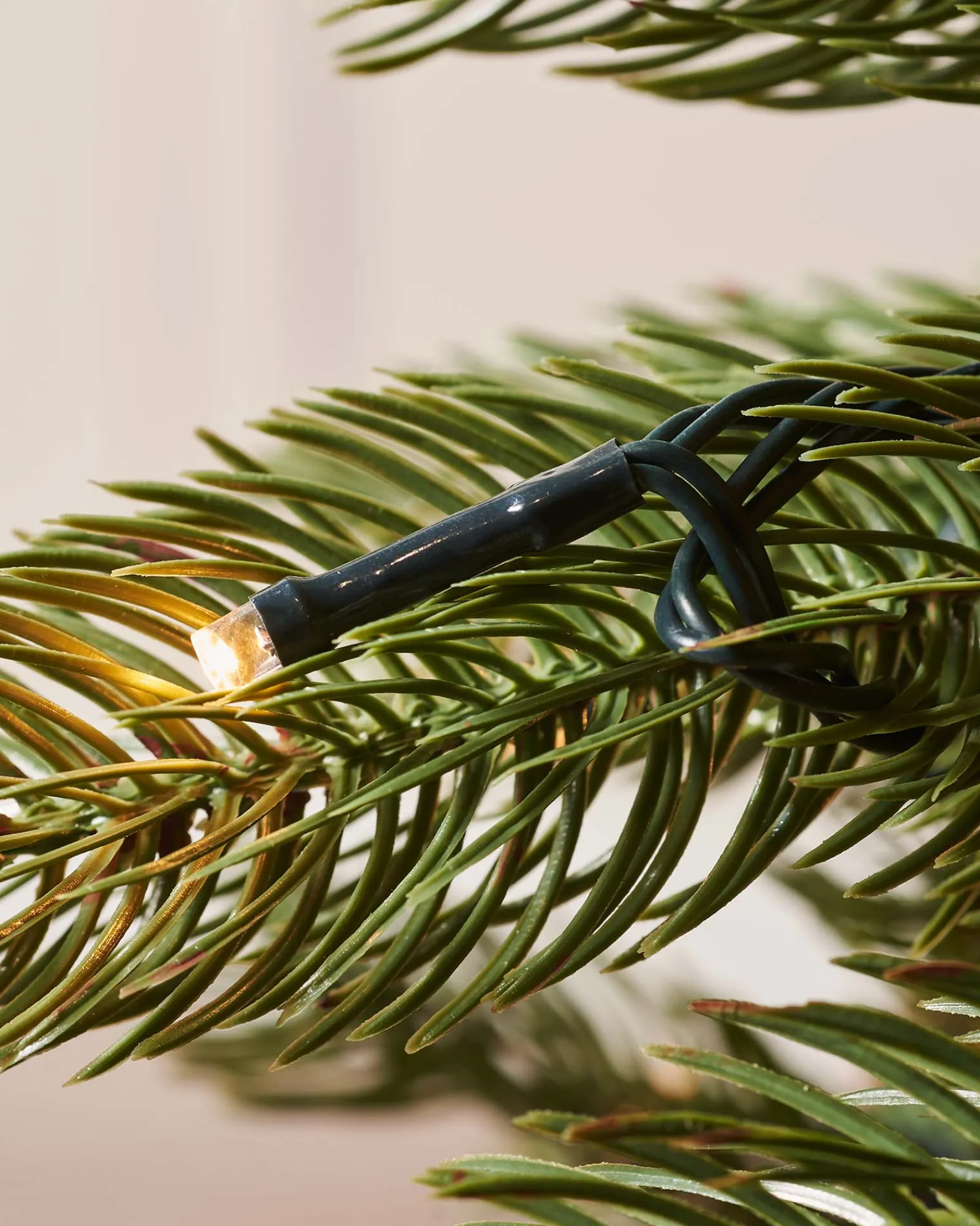 WeRChristmas Pre-Lit Craford Pine Christmas Tree, 8 Ft
