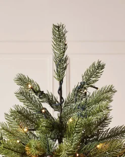 WeRChristmas Pre-Lit Craford Pine Christmas Tree, 8 Ft