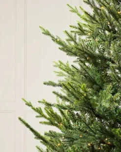 WeRChristmas Pre-Lit Douglas Fir Christmas Tree, 6 Ft