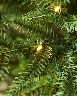 WeRChristmas Pre-Lit Douglas Fir Christmas Tree, 6 Ft