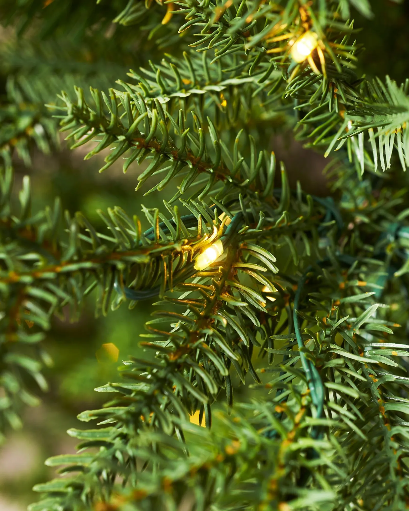 WeRChristmas Pre-Lit Douglas Fir Christmas Tree, 6 Ft
