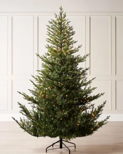 WeRChristmas Pre-Lit Douglas Fir Christmas Tree, 7 Ft