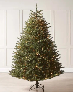 WeRChristmas Pre-Lit Foxtail Pine Christmas Tree, 6 Ft