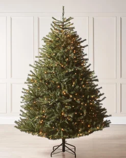 WeRChristmas Pre-Lit Foxtail Pine Christmas Tree, 7 Ft