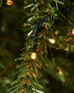 WeRChristmas Pre-Lit Foxtail Pine Christmas Tree, 7 Ft