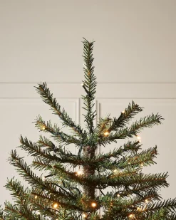 WeRChristmas Pre-Lit Foxtail Pine Christmas Tree, 7 Ft
