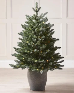 WeRChristmas Pre-Lit Frosted Potted Christmas Tree, 3.5 Ft
