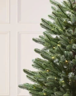 WeRChristmas Pre-Lit Frosted Potted Christmas Tree, 3.5 Ft