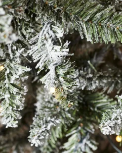 WeRChristmas Pre-Lit Full Bodied Snow Flocked Christmas Tree, 5 Ft