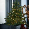 WeRChristmas Pre-Lit Grand Fir Potted Christmas Tree, 4 Ft