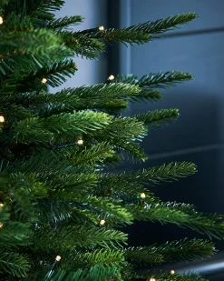 WeRChristmas Pre-Lit Grand Fir Potted Christmas Tree, 4 Ft