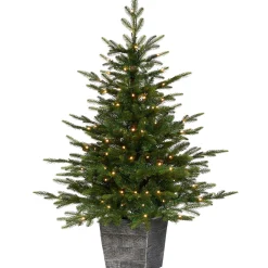WeRChristmas Pre-Lit Grand Fir Potted Christmas Tree, 4 Ft