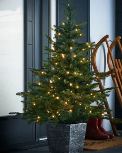 WeRChristmas Pre-Lit Grand Fir Potted Christmas Tree, 4 Ft