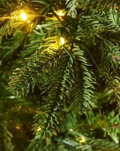 WeRChristmas Pre-Lit Grand Nordmann Fir Christmas Tree, 6 Ft