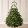 WeRChristmas Pre-Lit Grand Nordmann Fir Christmas Tree, 7 Ft