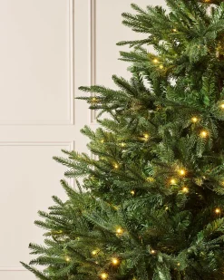 WeRChristmas Pre-Lit Grand Nordmann Fir Christmas Tree, 8 Ft