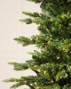 WeRChristmas Pre-Lit Himalayan Fir Christmas Tree, 6 Ft