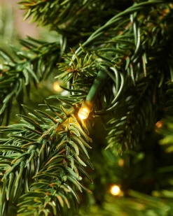 WeRChristmas Pre-Lit Himalayan Fir Christmas Tree, 7 Ft