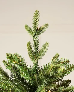 WeRChristmas Pre-Lit Himalayan Fir Christmas Tree, 7 Ft