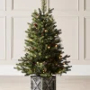WeRChristmas Pre-Lit Natural Pine Potted Christmas Tree, 3.5 Ft