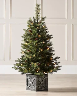 WeRChristmas Pre-Lit Natural Pine Potted Christmas Tree, 3.5 Ft