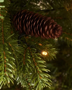 WeRChristmas Pre-Lit Natural Pine Potted Christmas Tree, 3.5 Ft