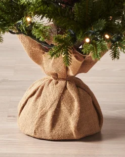 WeRChristmas Pre-Lit Norway Spruce Potted Christmas Tree, 4 Ft
