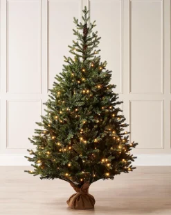 WeRChristmas Pre-Lit Norway Spruce Potted Christmas Tree, 5 Ft