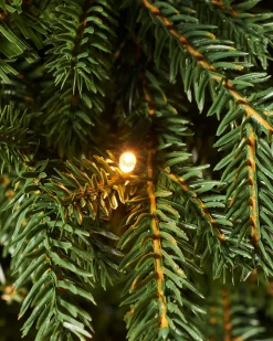 WeRChristmas Pre-Lit Norway Spruce Potted Christmas Tree, 5 Ft